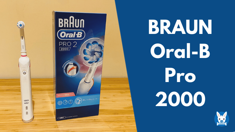 ブラウン オーラルB Pro 2000